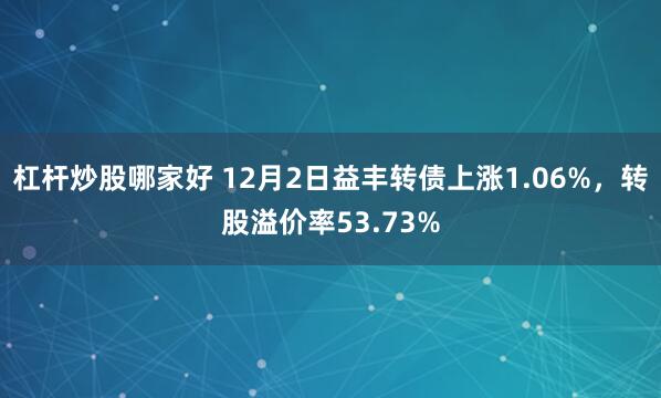 杠杆炒股哪家好 12月2日益丰转债上涨1.06%，转股溢价率53.73%
