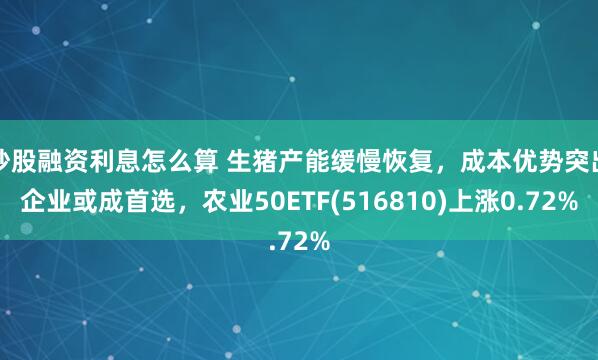 炒股融资利息怎么算 生猪产能缓慢恢复，成本优势突出企业或成首选，农业50ETF(516810)上涨0.72%