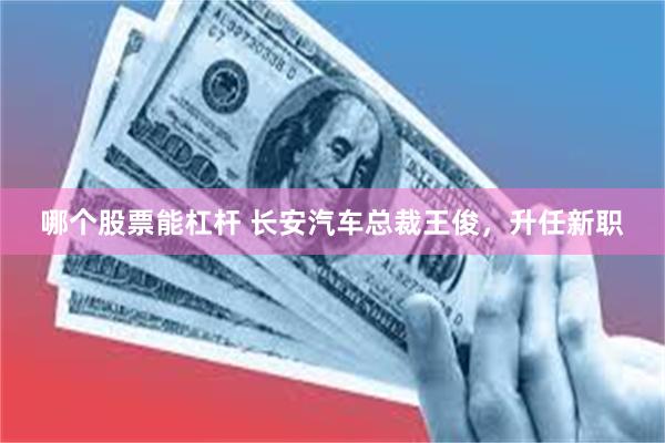 哪个股票能杠杆 长安汽车总裁王俊，升任新职