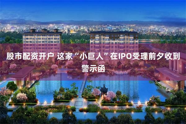 股市配资开户 这家“小巨人”在IPO受理前夕收到警示函