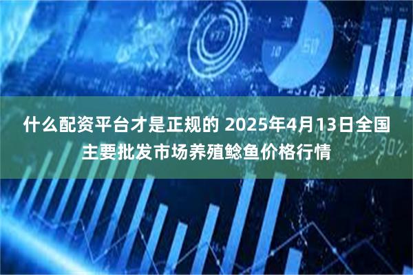 什么配资平台才是正规的 2025年4月13日全国主要批发市场养殖鲶鱼价格行情