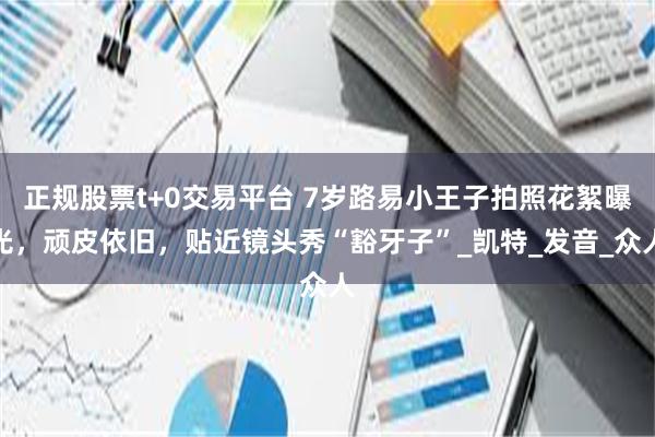 正规股票t+0交易平台 7岁路易小王子拍照花絮曝光，顽皮依旧，贴近镜头秀“豁牙子”_凯特_发音_众人
