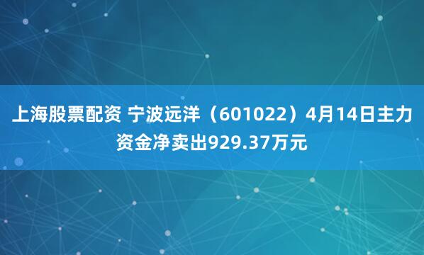 上海股票配资 宁波远洋（601022）4月14日主力资金净卖出929.37万元