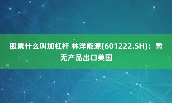 股票什么叫加杠杆 林洋能源(601222.SH)：暂无产品出口美国