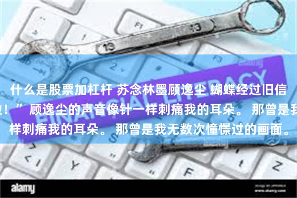 什么是股票加杠杆 苏念林墨顾逸尘 蝴蝶经过旧信箱 “哎呀，宝宝又笑啦！” 顾逸尘的声音像针一样刺痛我的耳朵。 那曾是我无数次憧憬过的画面。