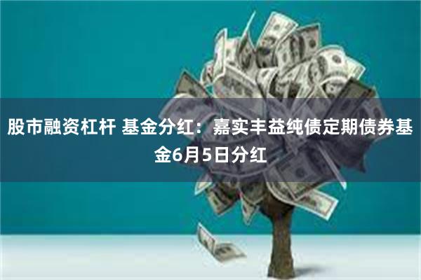 股市融资杠杆 基金分红：嘉实丰益纯债定期债券基金6月5日分红