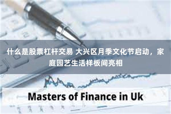 什么是股票杠杆交易 大兴区月季文化节启动，家庭园艺生活样板间亮相