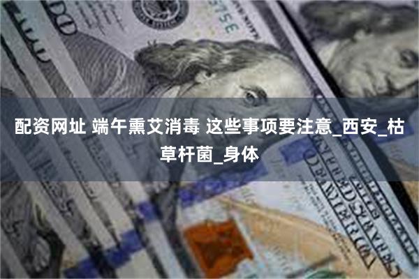 配资网址 端午熏艾消毒 这些事项要注意_西安_枯草杆菌_身体