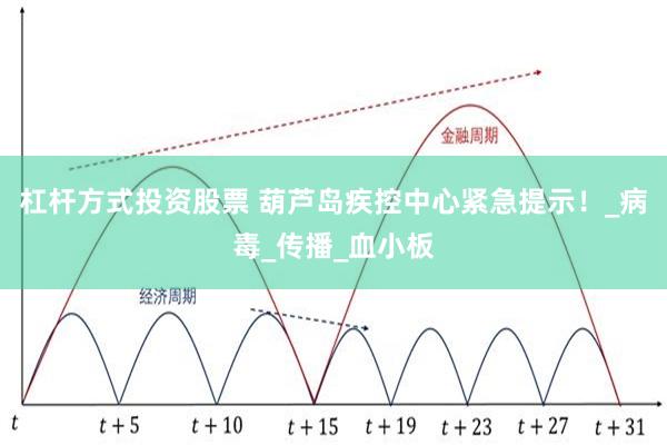 杠杆方式投资股票 葫芦岛疾控中心紧急提示！_病毒_传播_血小板