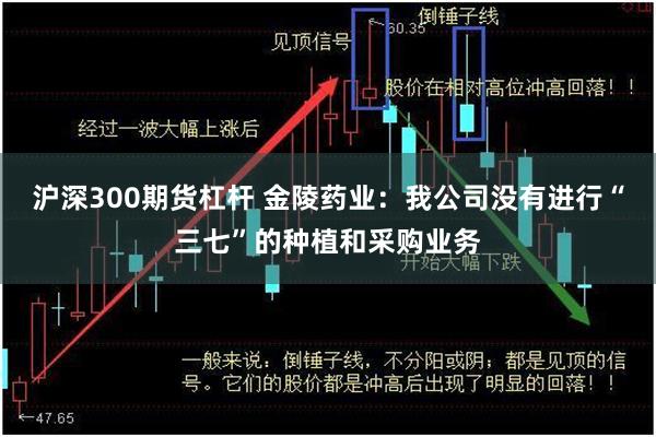 沪深300期货杠杆 金陵药业：我公司没有进行“三七”的种植和采购业务