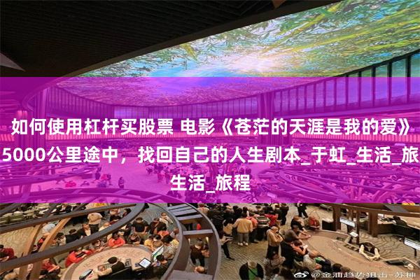 如何使用杠杆买股票 电影《苍茫的天涯是我的爱》在5000公里途中，找回自己的人生剧本_于虹_生活_旅程