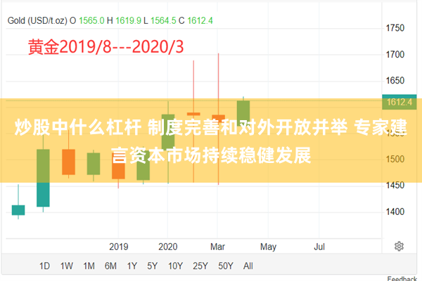 炒股中什么杠杆 制度完善和对外开放并举 专家建言资本市场持续稳健发展