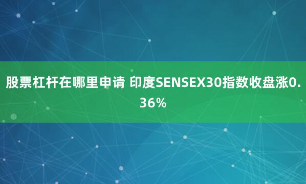 股票杠杆在哪里申请 印度SENSEX30指数收盘涨0.36%