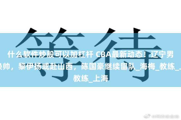 什么软件炒股可以加杠杆 CBA最新动态！辽宁男篮换帅，黎伊扬或赴山西，陈国豪继续留队_海梅_教练_上海