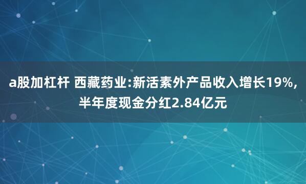 a股加杠杆 西藏药业:新活素外产品收入增长19%,半年度现金分红2.84亿元