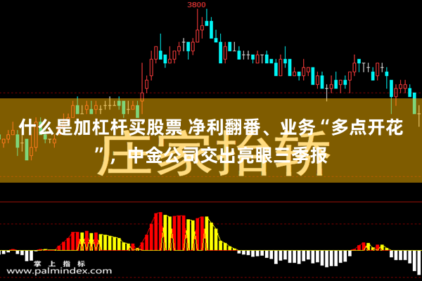 什么是加杠杆买股票 净利翻番、业务“多点开花”，中金公司交出亮眼三季报